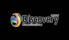 Insights Discovery logo